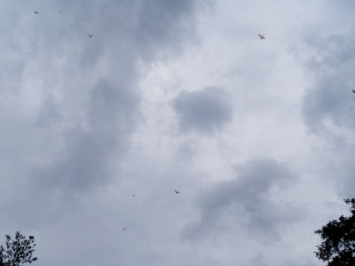 Ein Höhepunkt: der Hochzeitstanz