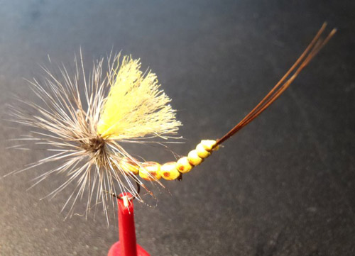 Maifliege mit extended Body