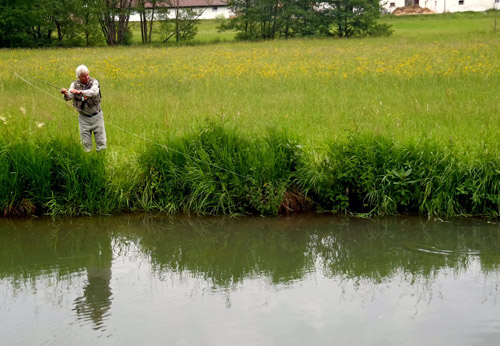 Die Wiesent... ein echtes Maifliegengewässer