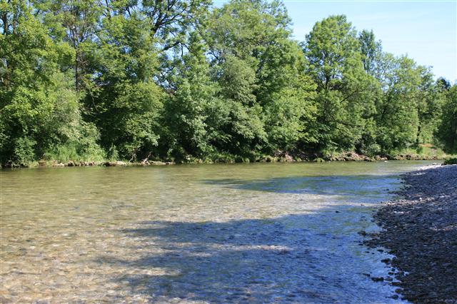Die Deutsche Traun, ein Topgewässer in Deutschland
