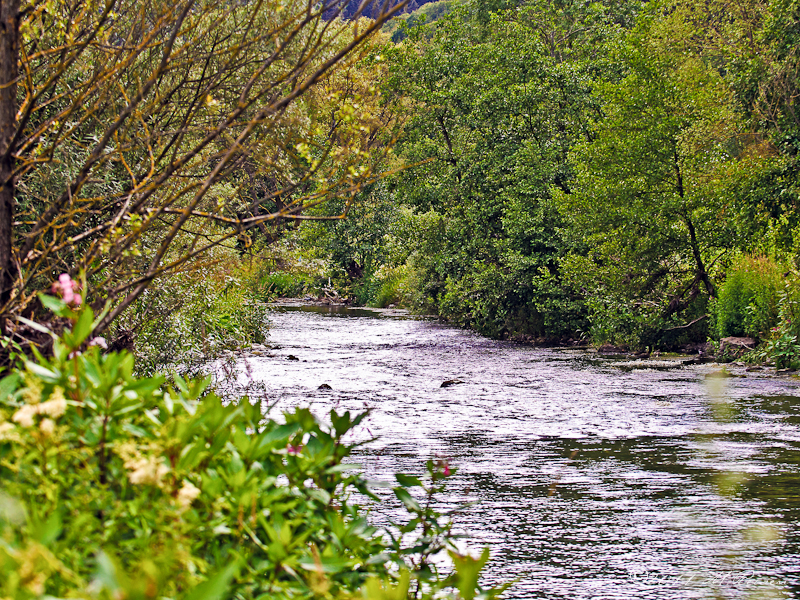 Die Kyll bei Birresborn - Bild: Marco Reisen