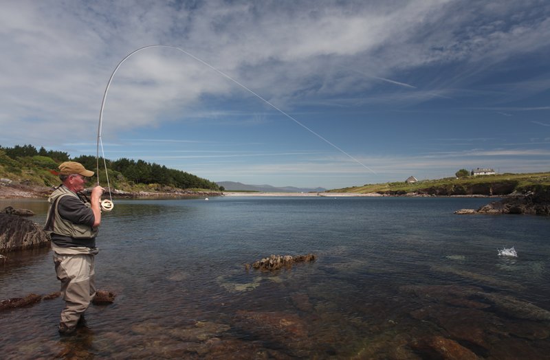 m_IMG_3985 Meeräschen in den Buchten des Ring of Kerry.