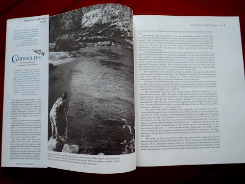 Caddisflies2 Umfangreich und voller Informationen.