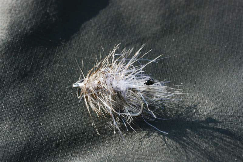 Erfolgreiches Muster?