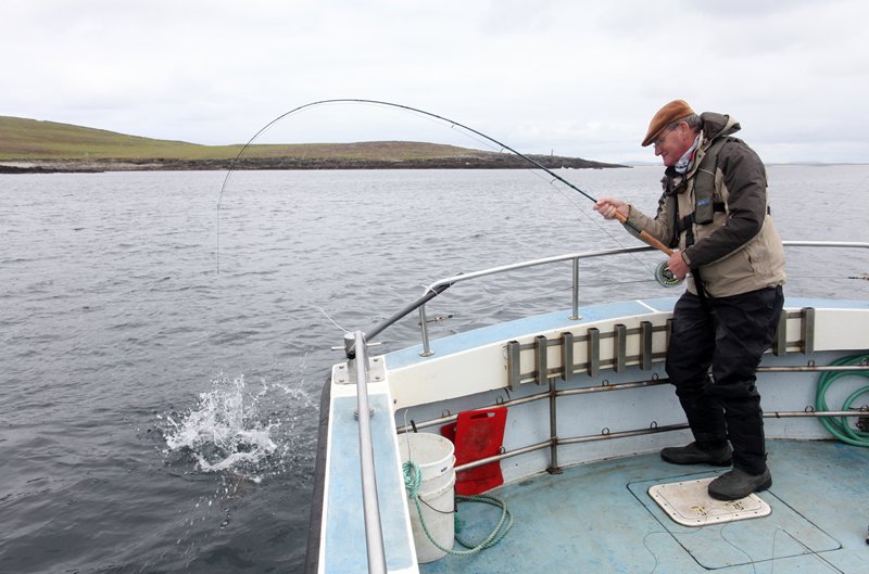 Wenn der Kapitän die richtigen Stellen findet, ist "action" garantiert.