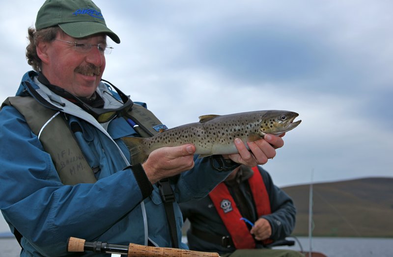 Rudy's Wiedergutmachung: eine herrliche Meerforelle.