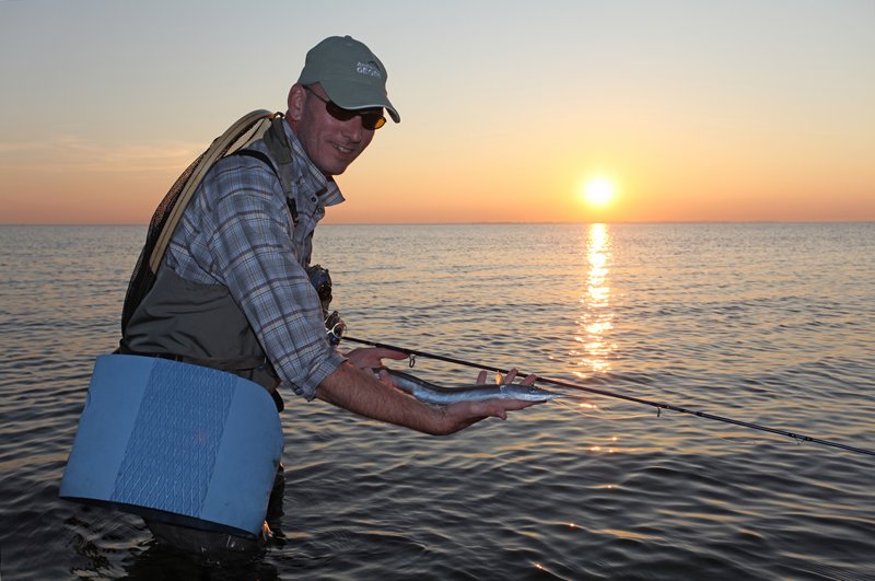 Überraschung... Hornhecht