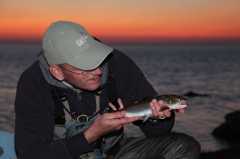 Erfolgreiches Muster!