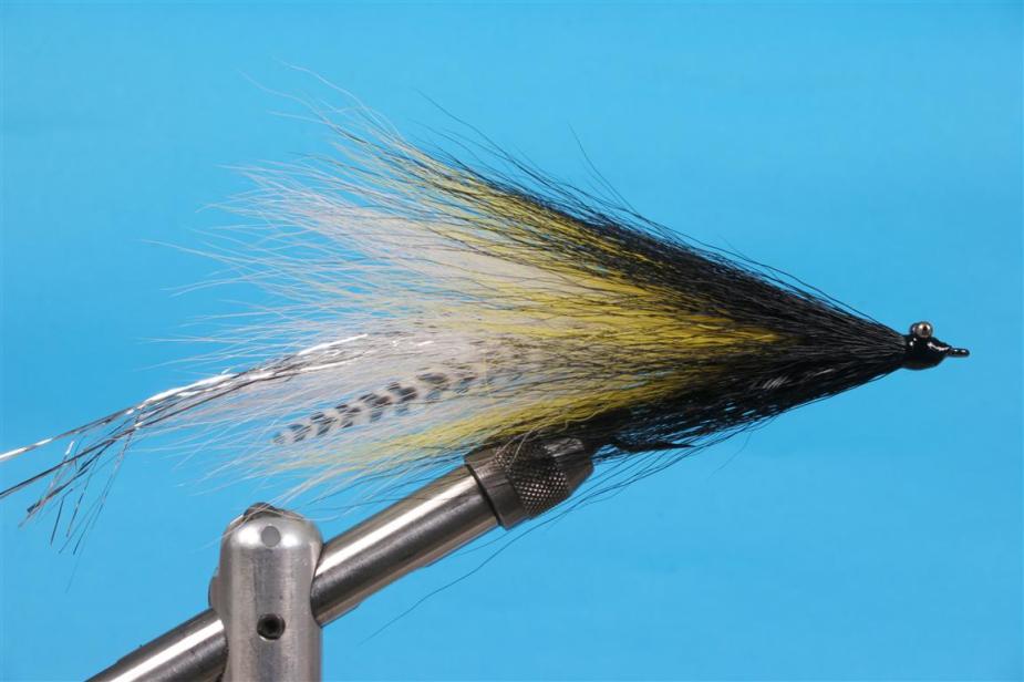 Der Borussia Streamer