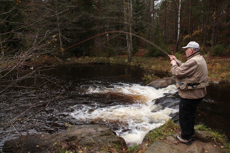 Harasjömåla: fast immer befischbar und spaß garantiert.