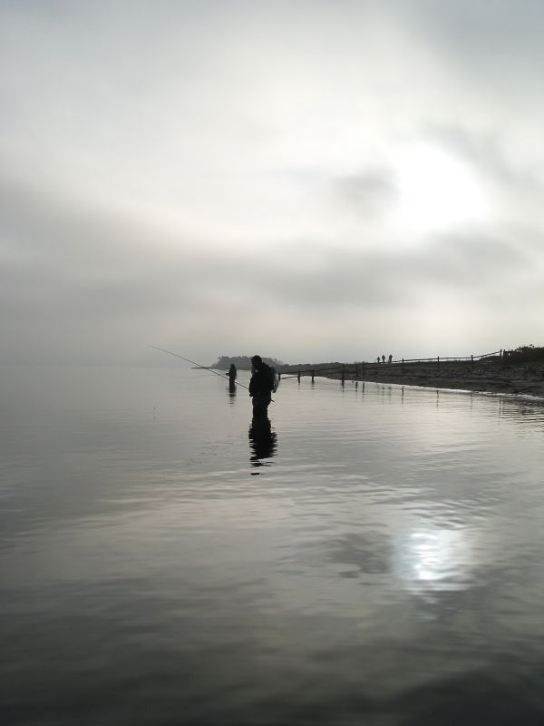 Was geht heute besser: Spinn- oder Fliegenrute?