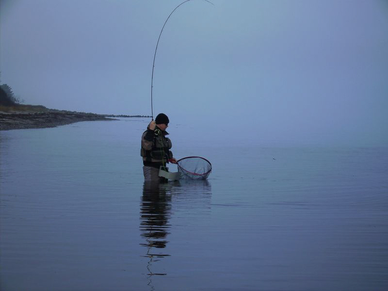 Erfolg zur frühen Stunde.