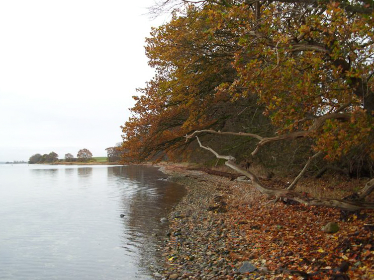 Eine Erfolgsversprechende Stelle...?