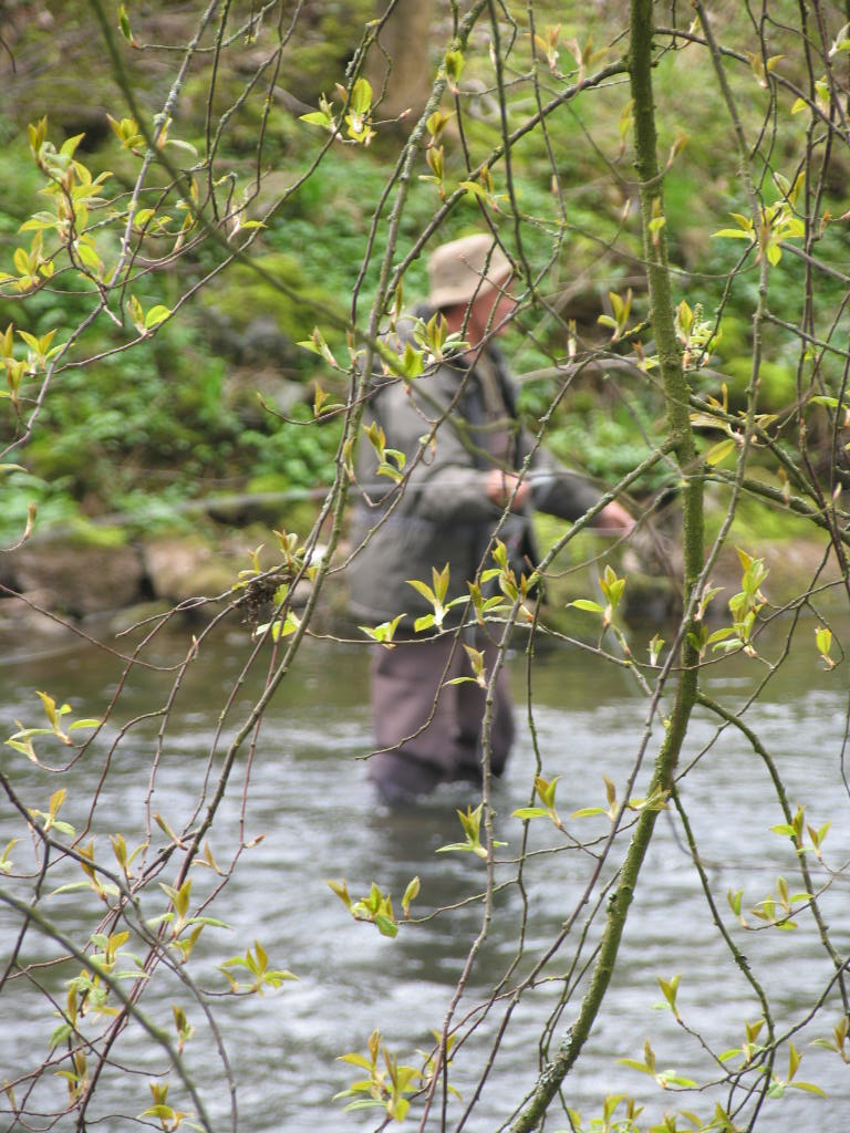 Der Frühling zieht auch in die Eifel ein.