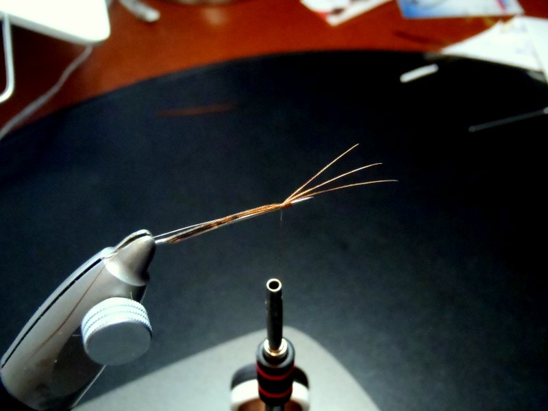 OLYMPUS DIGITAL CAMERA Schritt 2.