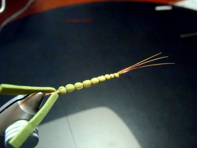 OLYMPUS DIGITAL CAMERA Schritt 8.