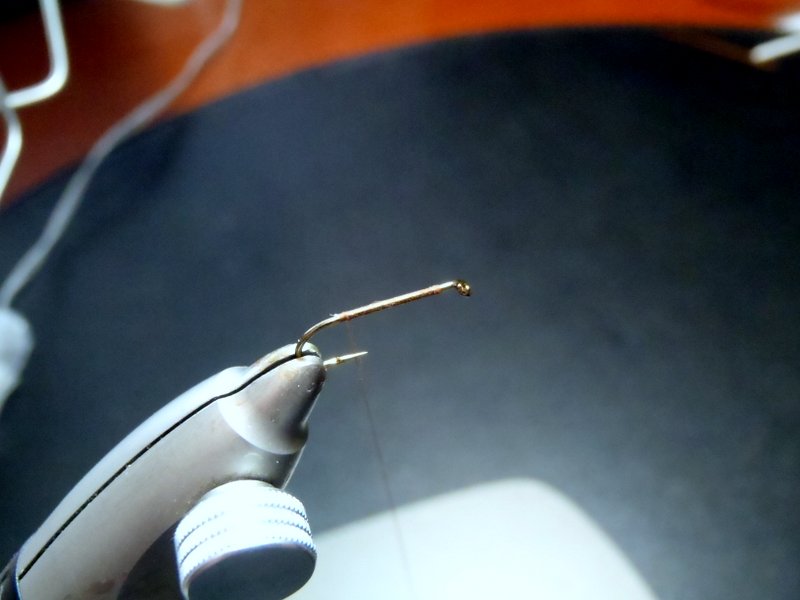 OLYMPUS DIGITAL CAMERA Schritt 10.