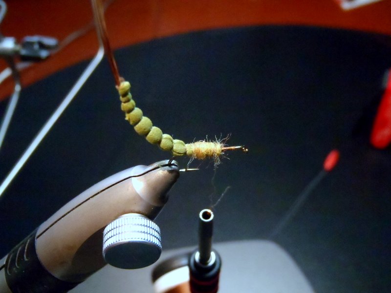 OLYMPUS DIGITAL CAMERA Schritt 12.