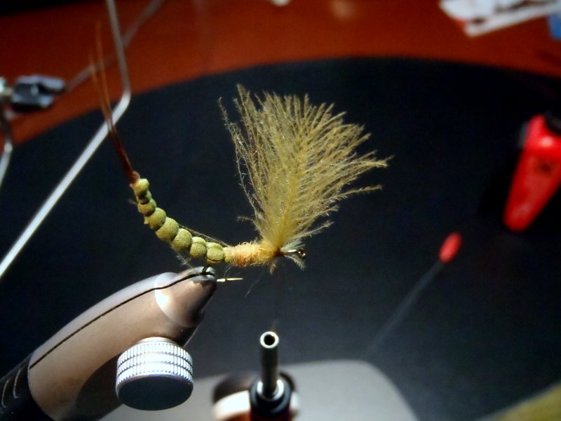 OLYMPUS DIGITAL CAMERA Schritt 13.