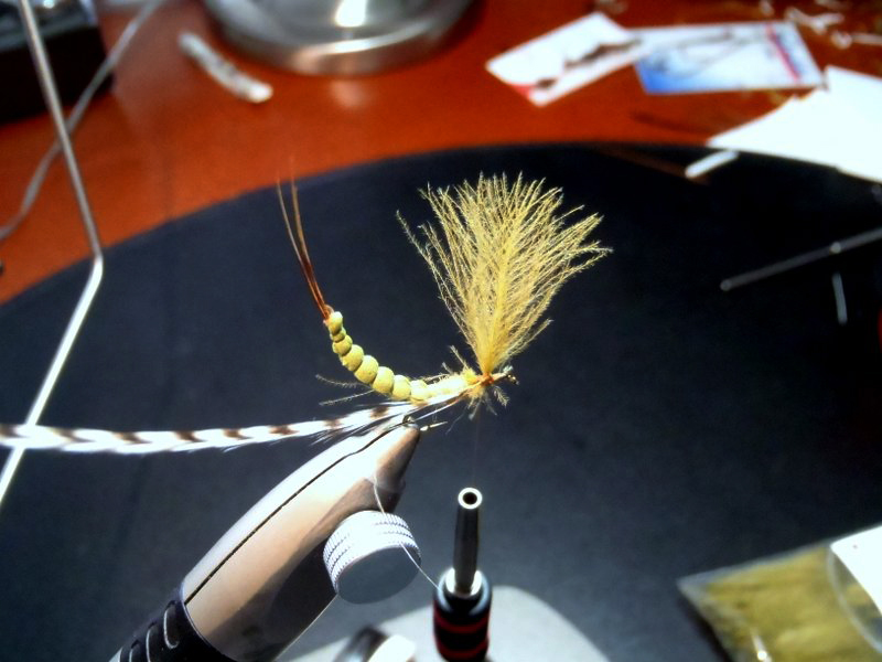 P4171129 Schritt 14.