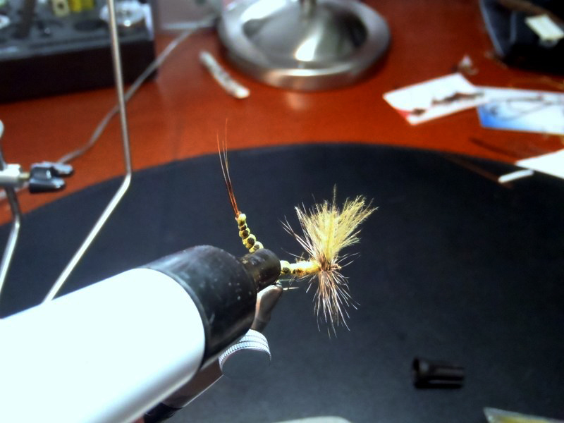 P4171130 Schritt 15.