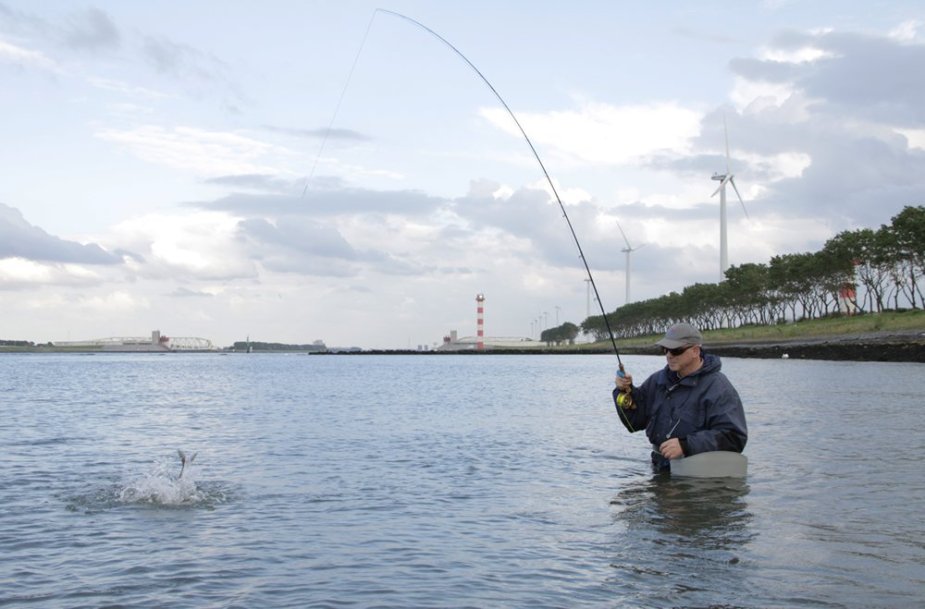 Toller Sport an der Fliegenrute.
