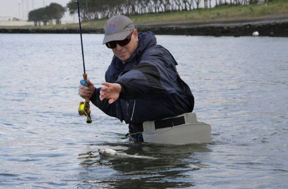 Vorsicht beim Enthaken der Finte. Sie ist sehr empfindlich.