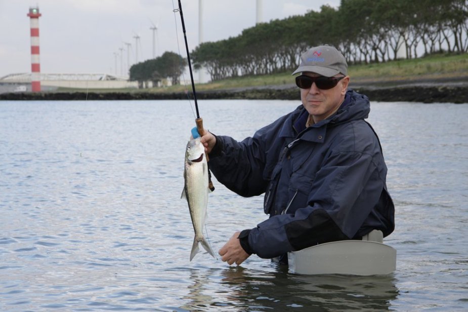 Schneller Schnappschuss und zurück in ihr Element.