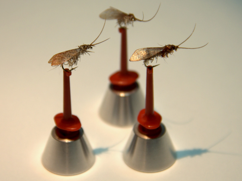 Im September äußerst erfolgreich: die Slowenische Sedge