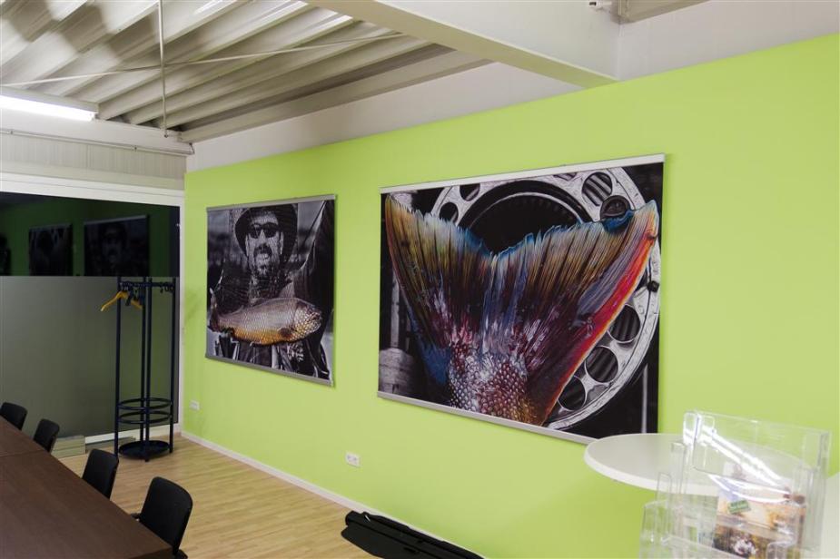 Geile Bilder von Dieter Meyrl.