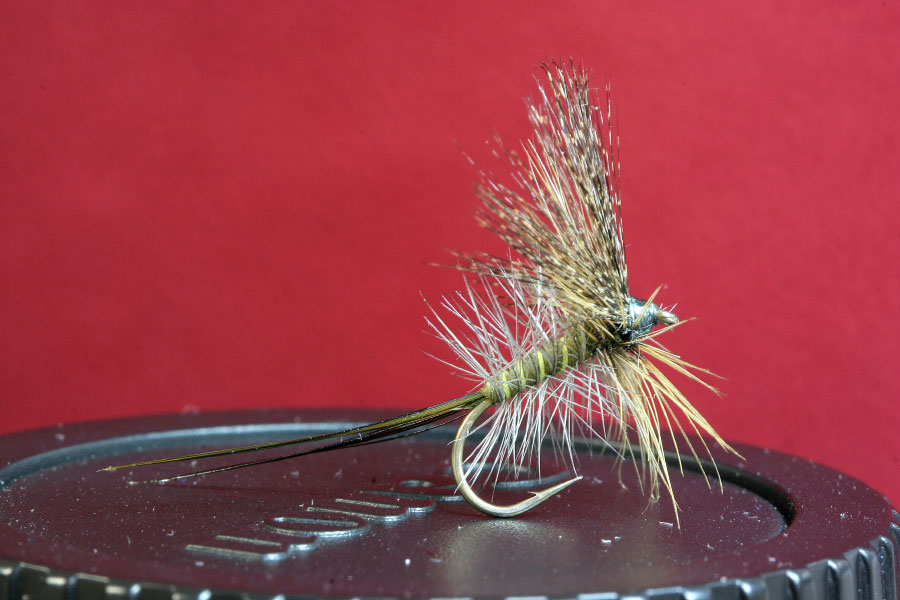 Eine 'spanische Fliege' (Quelle: www.pardondemeana.com)