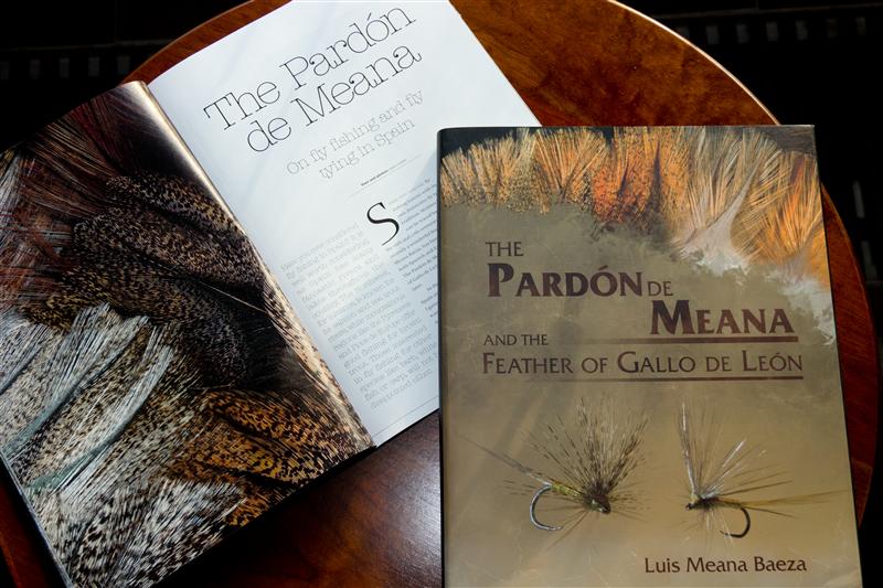 Über Chasing Silver zum Buch...