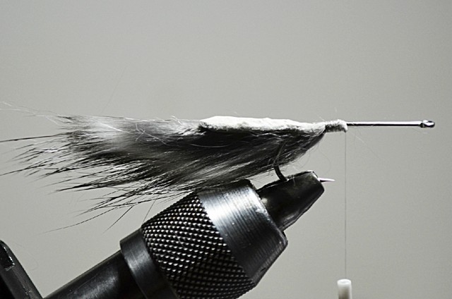 Den Haken (z.B. Gamakatsu F314) durch die Haut eines Zonkerstreifens stechen und mit der Haut auf dem Hakenschenkel fixieren.