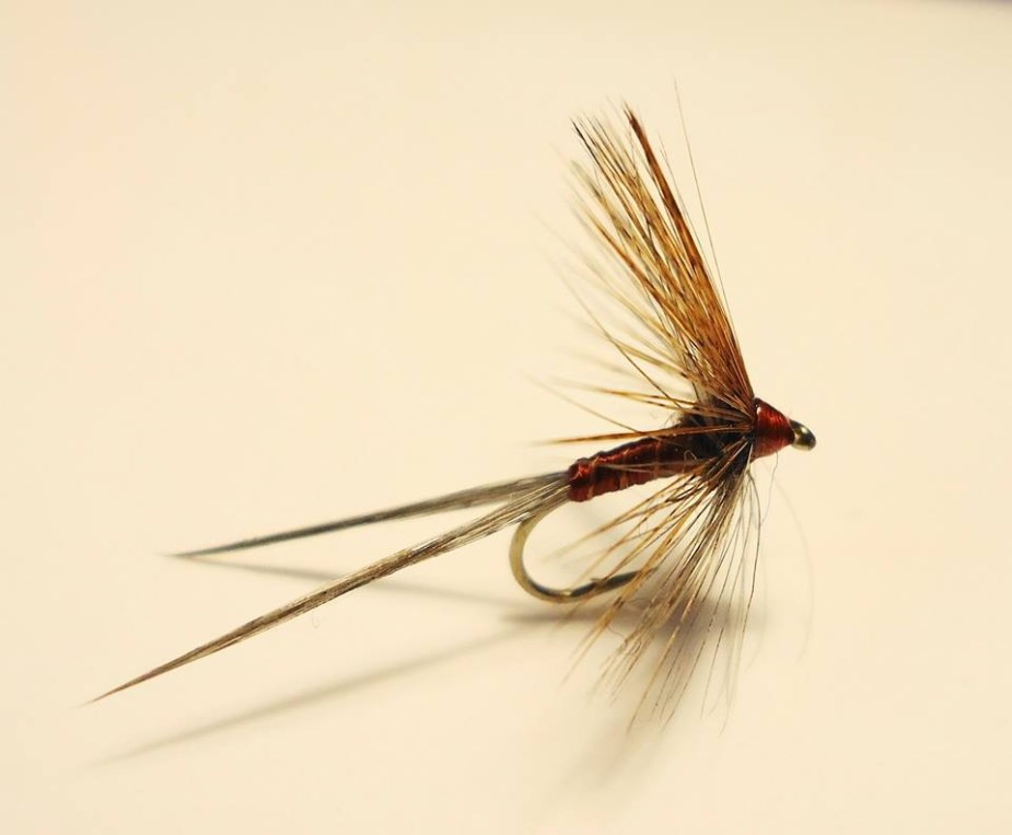 Pardon de Meana: die besondere spanische Fliege.