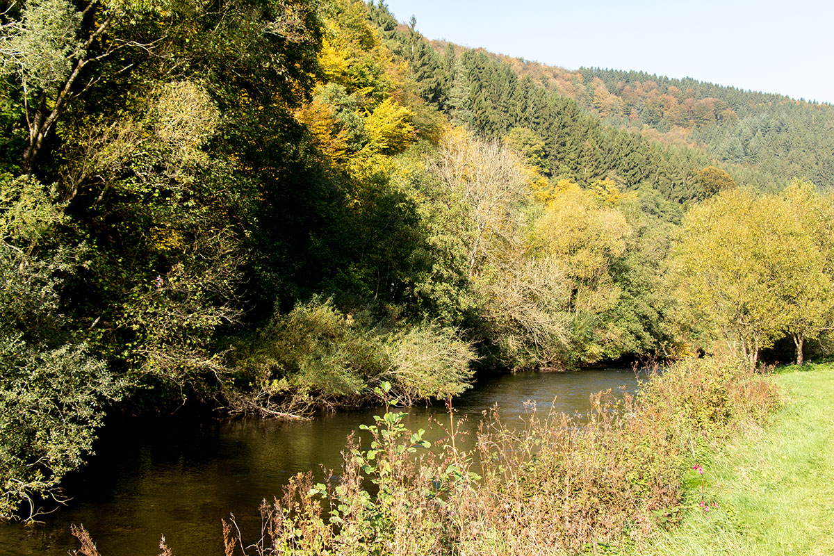 Ein Hauch von Indian Summer in der Eifel.