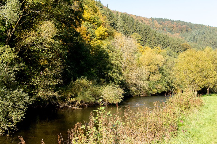 Ein Hauch von Indian Summer in der Eifel.