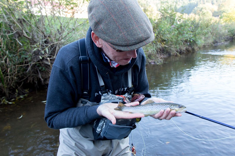 Die Forellen schienen irgendwie fast alle die gleiche Größe zu haben.
