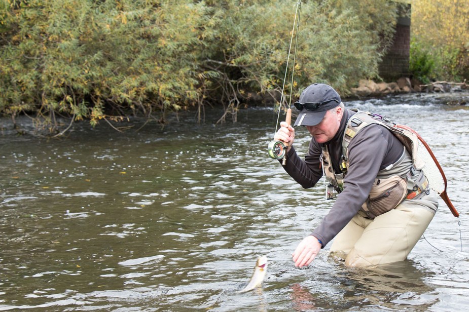Am Nachmittag fingen die Forellen vereinzelt an auf Trockenfliegen zu steigen.