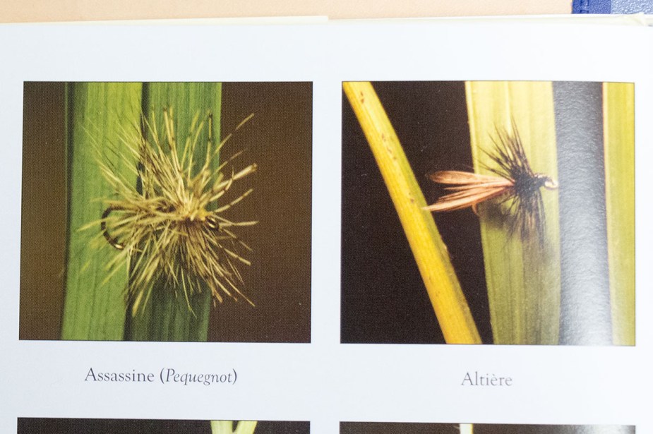 Die Fliegen der alten Schule