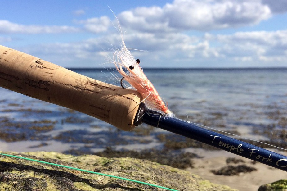 Normalerweise im April ein gutes Muster: die Pattegrisen.