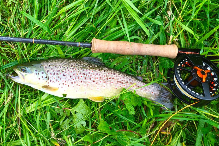 Bachforelle aus der Strecke "Hammermühle", gefangen an einer Scott Radian, eine wunderbare Rute für diese Fischerei.