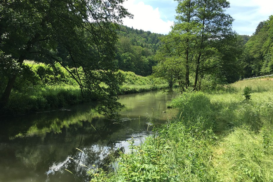 Die Strecke "Sachsenmühle"