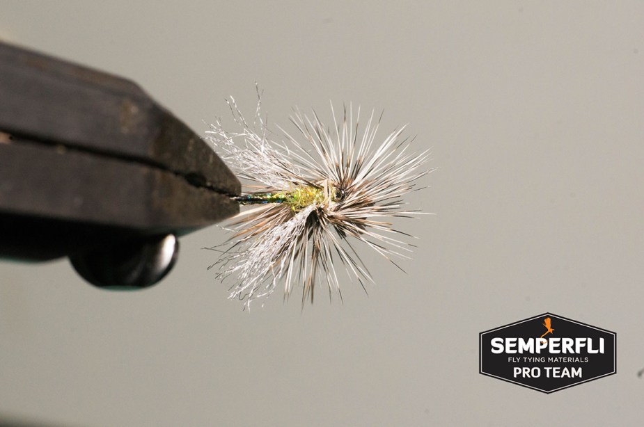 Missing Link, so wie die Fische die Fliege wahrnehmen.