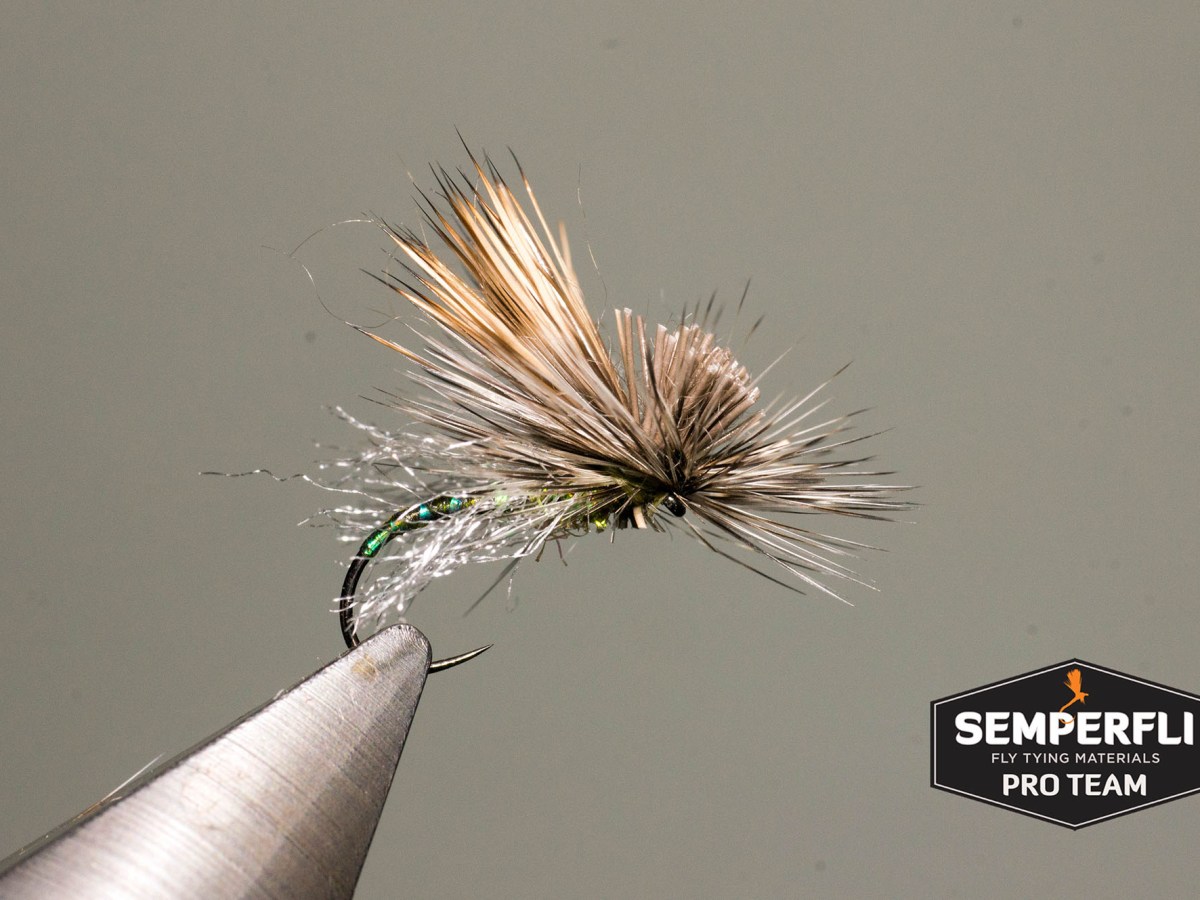 Mercer's Missing Link