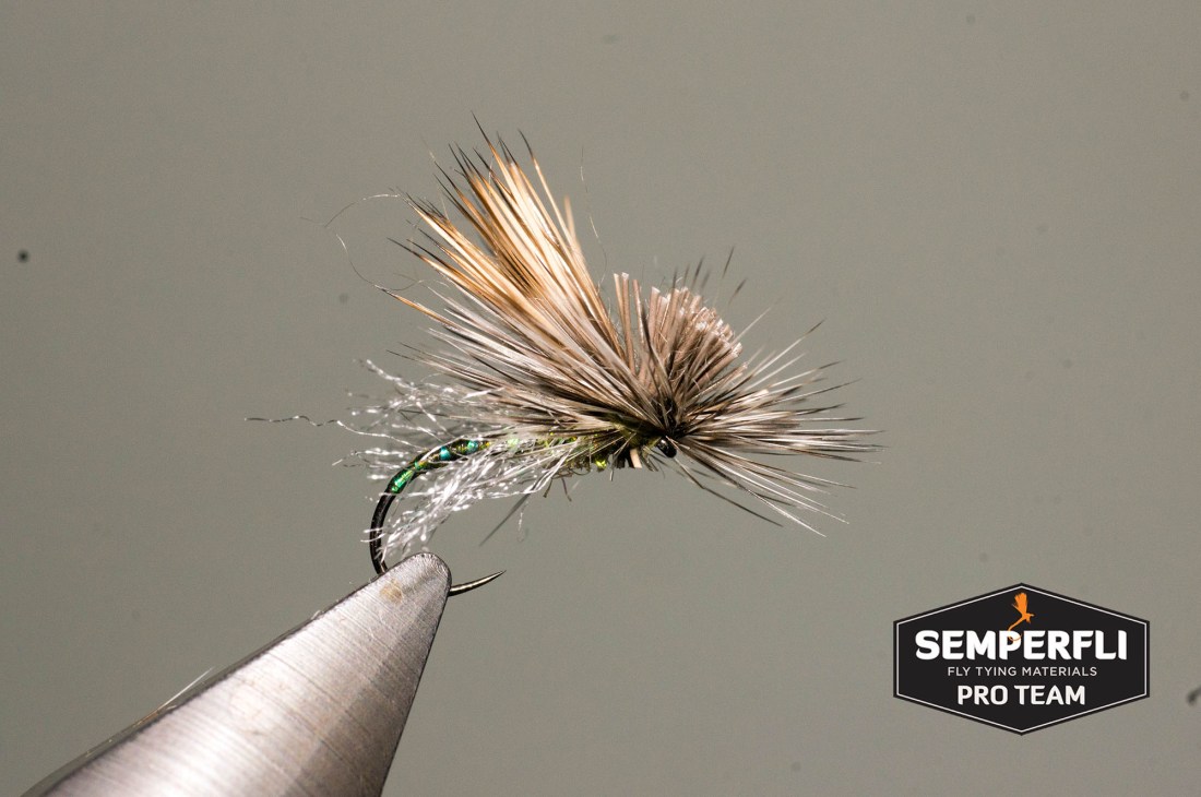 Mercer's Missing Link